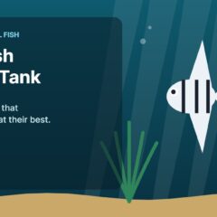 Illustration of an aquarium for the FinTastik Tropical Fish article Angelfish Display Tank