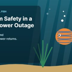 Illustration of an aquarium for the FinTastik Tropical Fish article How to Keep Your Aquarium Safe During a Winter Power Outage