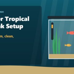 Illustration of a beginner tropical fish tank with a heater, hang-on-back filter, LED light, live plants, and colorful fish