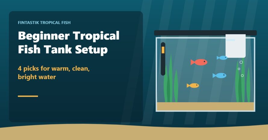 Illustration of a beginner tropical fish tank with a heater, hang-on-back filter, LED light, live plants, and colorful fish