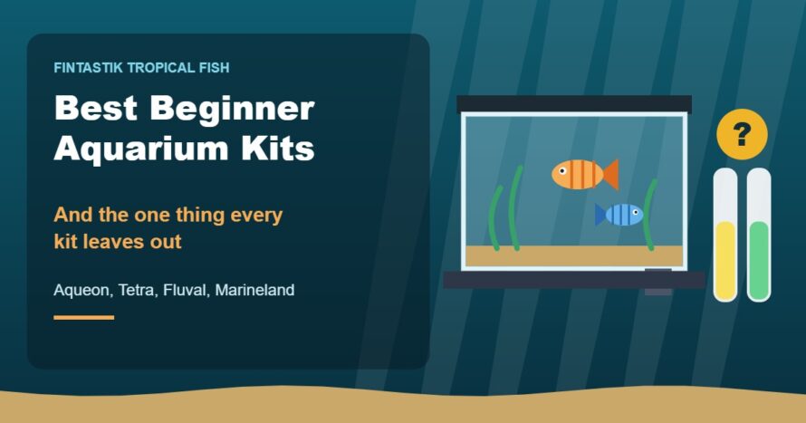 Illustration of a beginner aquarium kit with fish next to water test tubes and a question mark