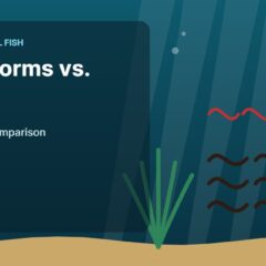 Illustration of an aquarium for the FinTastik Tropical Fish article Black Worms vs. Tubifex: A Comprehensive Comparison