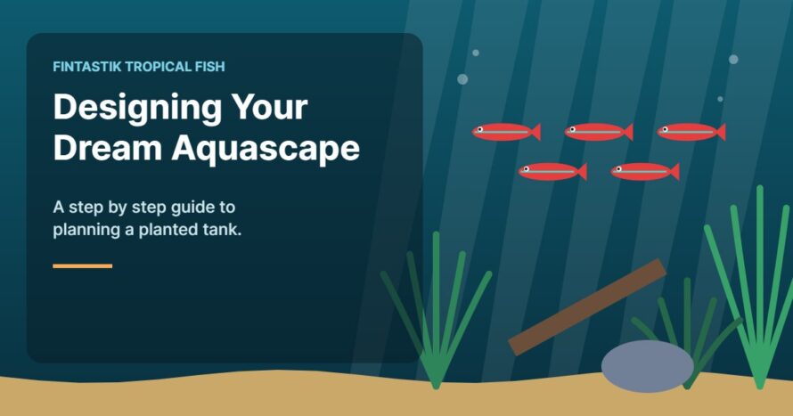 Illustration of an aquarium for the FinTastik Tropical Fish article Designing Your Dream Aquascape: Guide