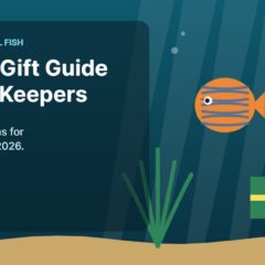 Illustration of an aquarium for the FinTastik Tropical Fish article Holiday Gift Guide for Fish Keepers (2026)