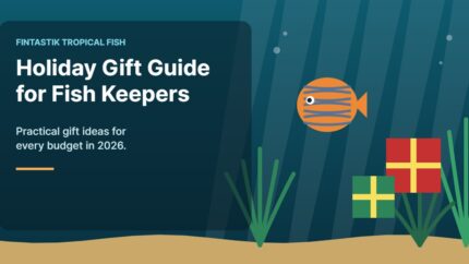 Illustration of an aquarium for the FinTastik Tropical Fish article Holiday Gift Guide for Fish Keepers (2026)