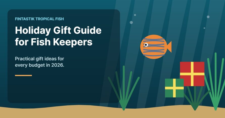 Illustration of an aquarium for the FinTastik Tropical Fish article Holiday Gift Guide for Fish Keepers (2026)