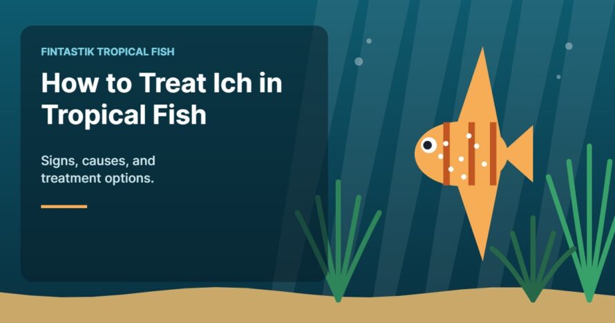 Illustration of an aquarium for the FinTastik Tropical Fish article How to Treat Ich in Tropical Fish: Signs, Causes, and Treatment