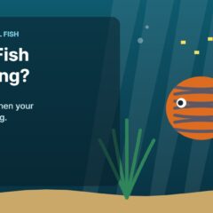 Illustration of an aquarium for the FinTastik Tropical Fish article If I had discus fish not eating?