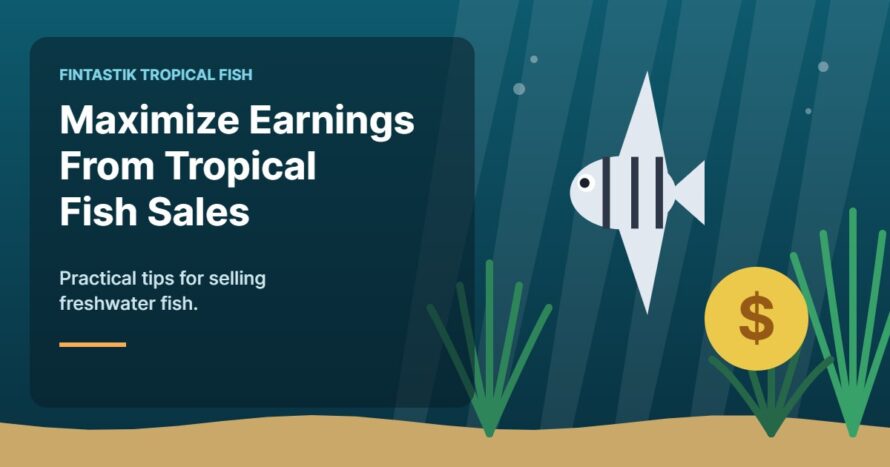 Illustration of an aquarium for the FinTastik Tropical Fish article Maximize Your Earnings from Freshwater Tropical Fish Sales