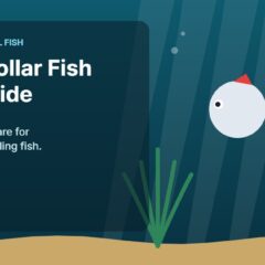 Illustration of an aquarium for the FinTastik Tropical Fish article Silver Dollar Fish: Comprehensive Care Guide